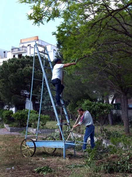 Pisticci - manutenzione del verde.jpg